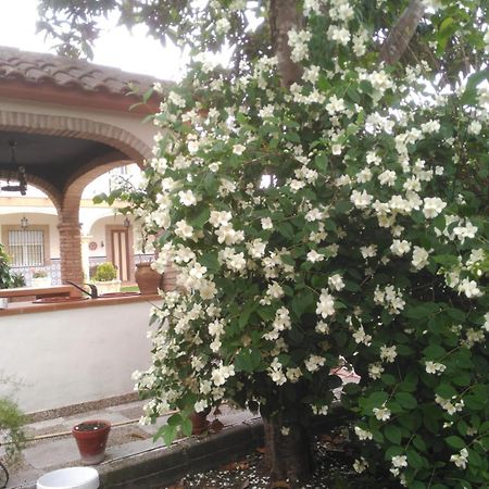 Vivienda Turistica Rural Mari Carmen Villa Baeza Exteriör bild