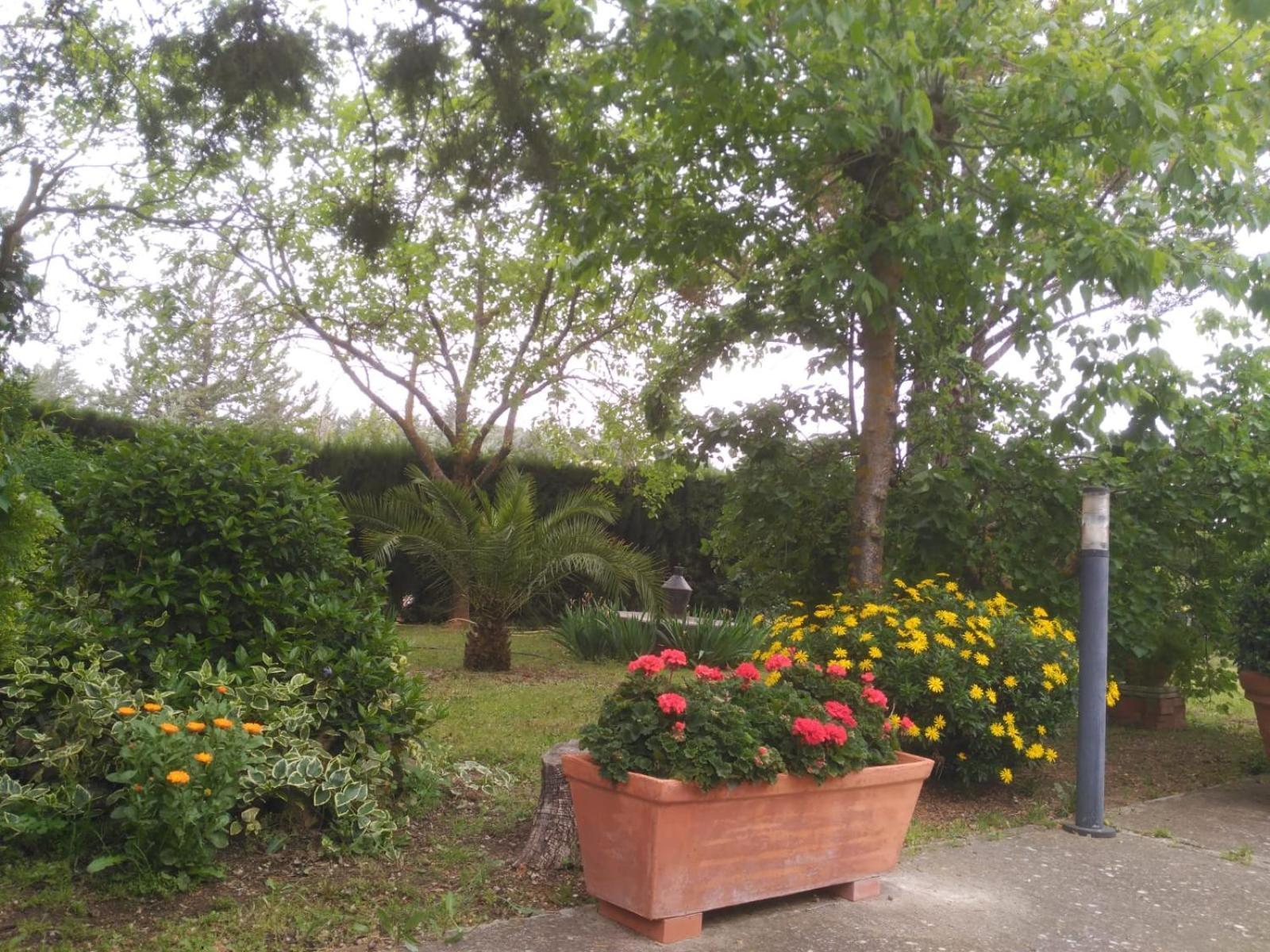 Vivienda Turistica Rural Mari Carmen Villa Baeza Exteriör bild